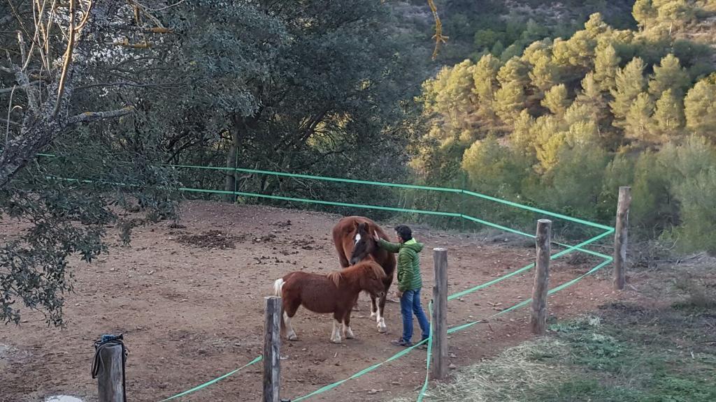 Masia CasaJoana Rural Rellinars Bagian luar foto