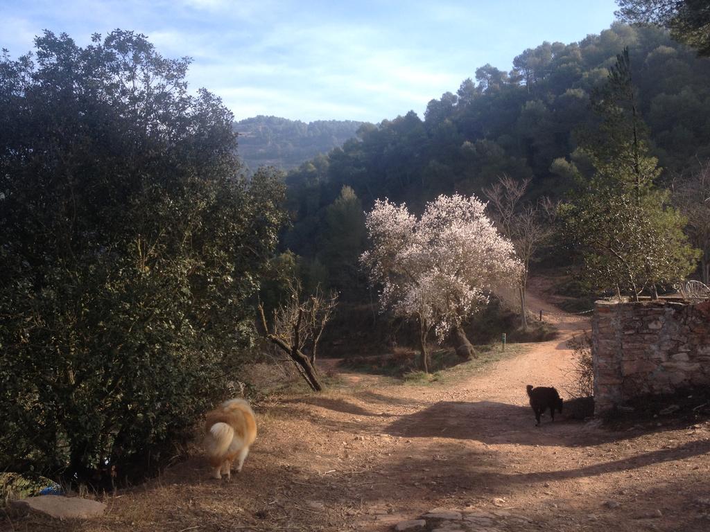 Masia CasaJoana Rural Rellinars Bagian luar foto