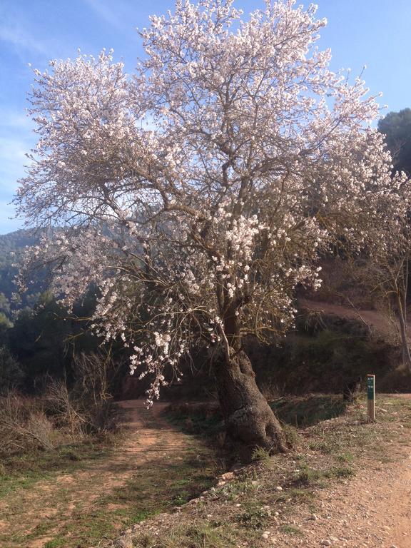 Masia CasaJoana Rural Rellinars Bagian luar foto