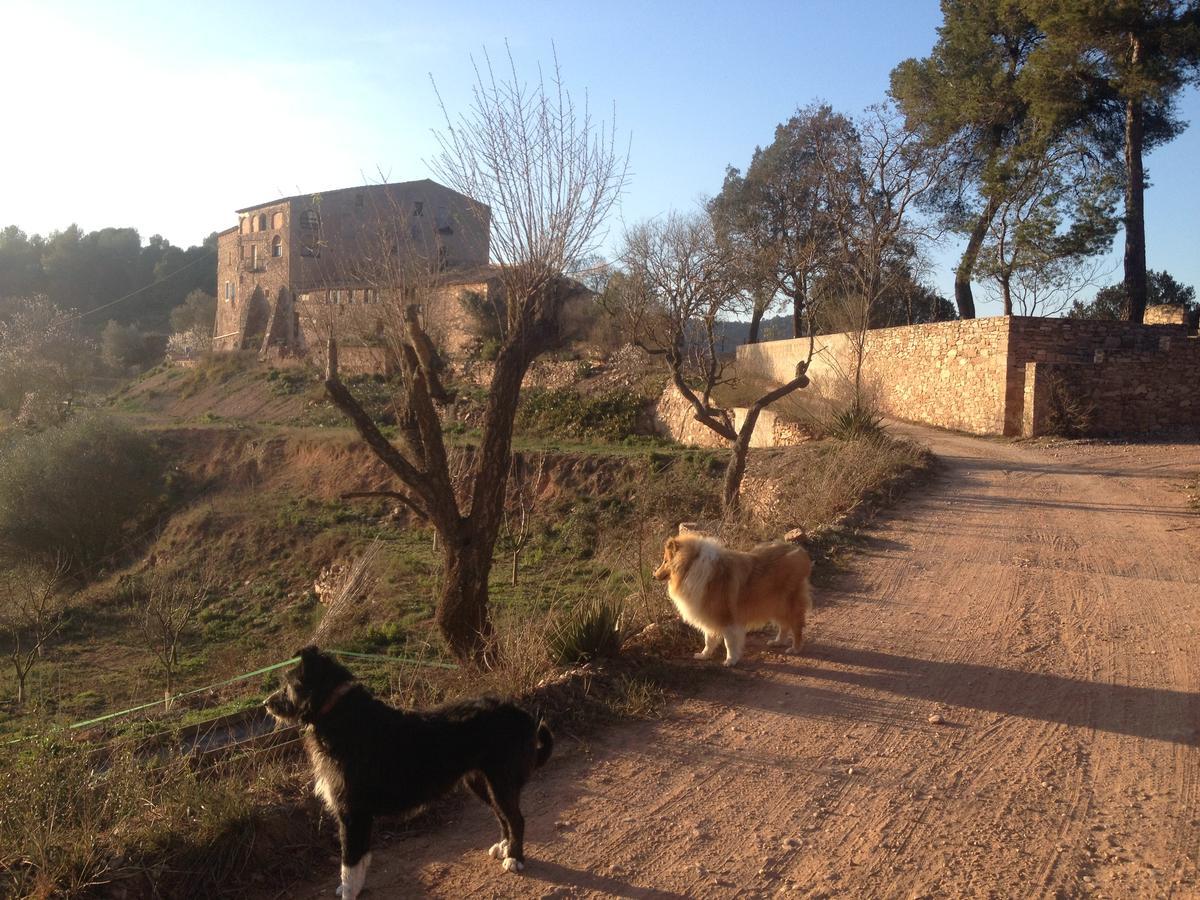 Masia CasaJoana Rural Rellinars Bagian luar foto