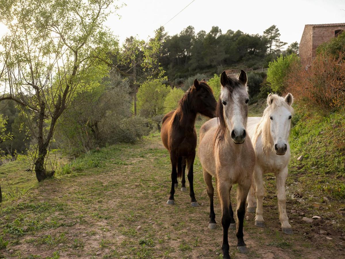 Masia CasaJoana Rural Rellinars Bagian luar foto